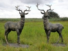 Large Lifesize Pair Of Cast Iron Standing Stag Deer Statues With Bronze Finish